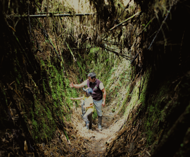 Tour Caminata por el Sendero los Yumbos